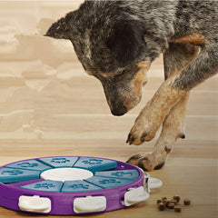 Dog educational toys